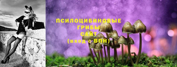 не бодяженный Арсеньев