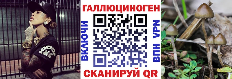 блэк спрут tor Козьмодемьянск Псилоцибиновые грибы Psilocybine cubensis где найти наркотики