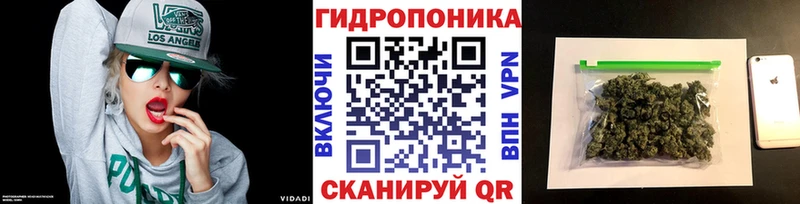 Канабис индика где купить Козьмодемьянск